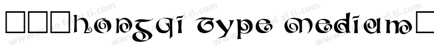 求字体HongQi Type Medium字体转换